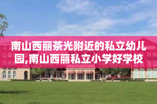 南山西丽茶光附近的私立幼儿园,南山西丽私立小学好学校
