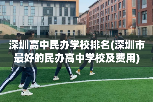 深圳高中民办学校排名(深圳市最好的民办高中学校及费用)