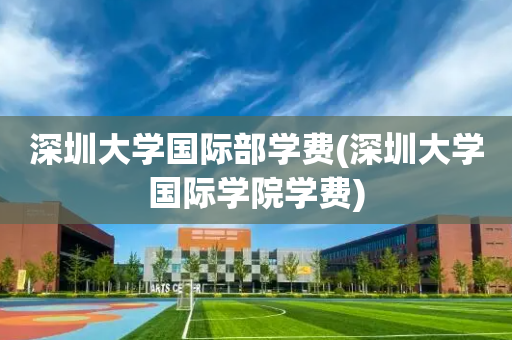 深圳大学国际部学费(深圳大学国际学院学费)