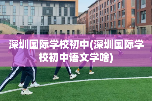 深圳国际学校初中(深圳国际学校初中语文学啥)