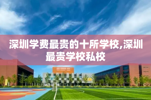 深圳学费最贵的十所学校,深圳最贵学校私校