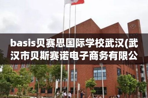 basis贝赛思国际学校武汉(武汉市贝斯赛诺电子商务有限公司)