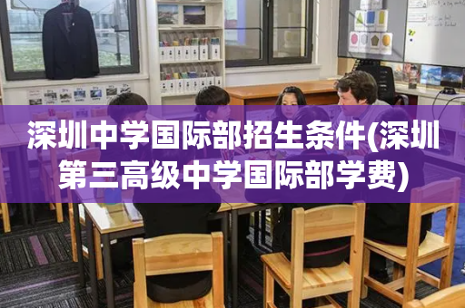 深圳中学国际部招生条件(深圳第三高级中学国际部学费)