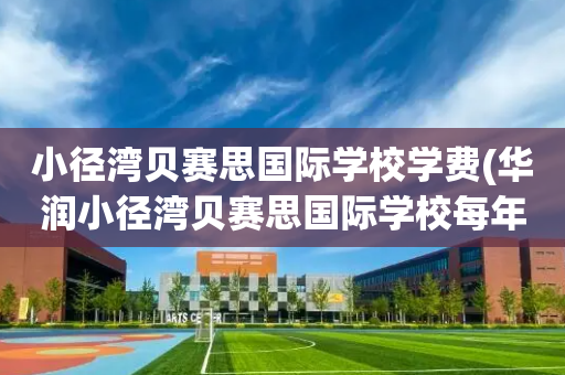 小径湾贝赛思国际学校学费(华润小径湾贝赛思国际学校每年费用)