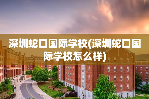 深圳蛇口国际学校(深圳蛇口国际学校怎么样)