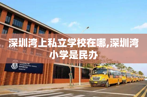 深圳湾上私立学校在哪,深圳湾小学是民办