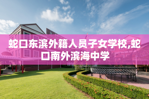 蛇口东滨外籍人员子女学校,蛇口南外滨海中学