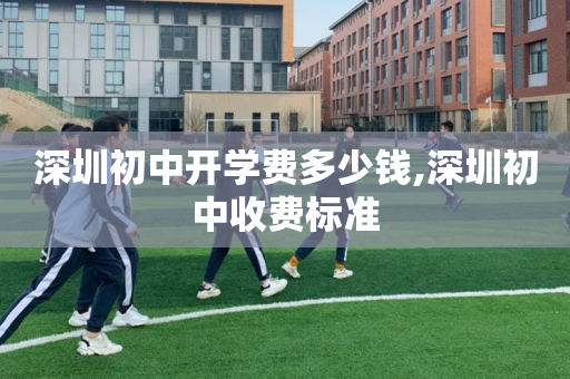 深圳初中开学费多少钱,深圳初中收费标准