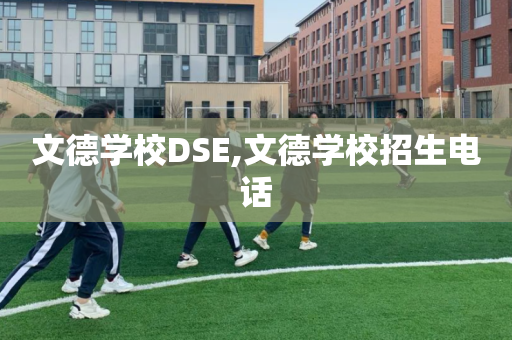 文德学校DSE,文德学校招生电话