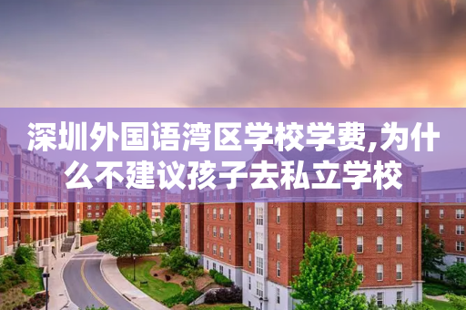 深圳外国语湾区学校学费,为什么不建议孩子去私立学校