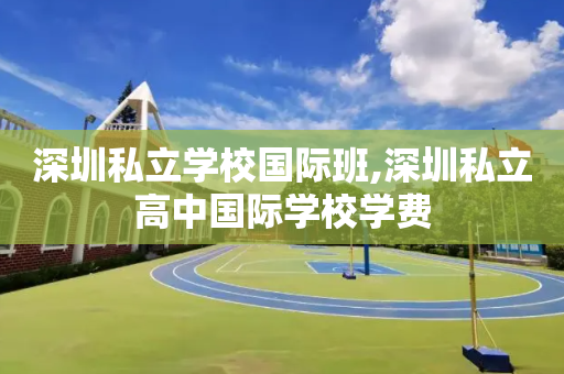 深圳私立学校国际班,深圳私立高中国际学校学费