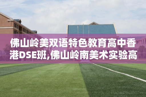 佛山岭美双语特色教育高中香港DSE班,佛山岭南美术实验高中