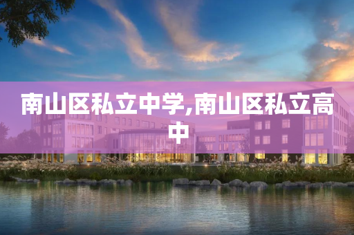 南山区私立中学,南山区私立高中