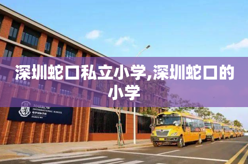 深圳蛇口私立小学,深圳蛇口的小学