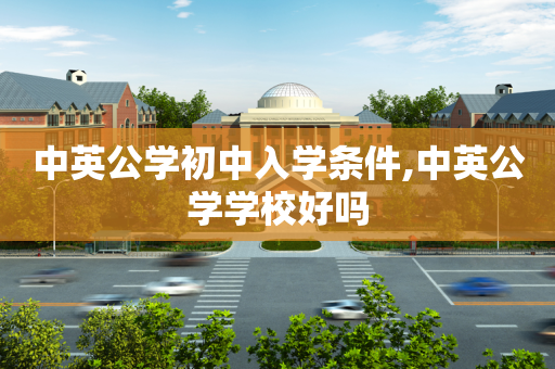中英公学初中入学条件,中英公学学校好吗