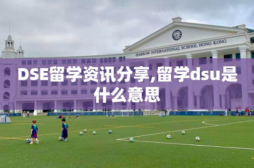 DSE留学资讯分享,留学dsu是什么意思