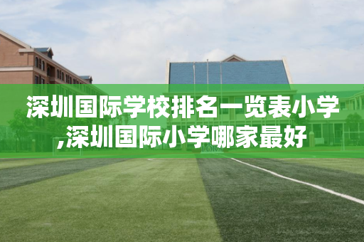 深圳国际学校排名一览表小学,深圳国际小学哪家最好