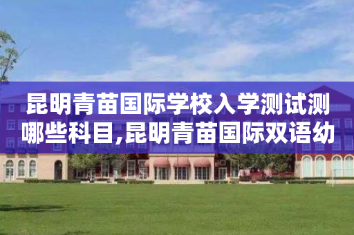 昆明青苗国际学校入学测试测哪些科目,昆明青苗国际双语幼儿园怎么样