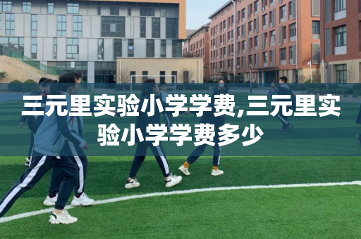 三元里实验小学学费,三元里实验小学学费多少
