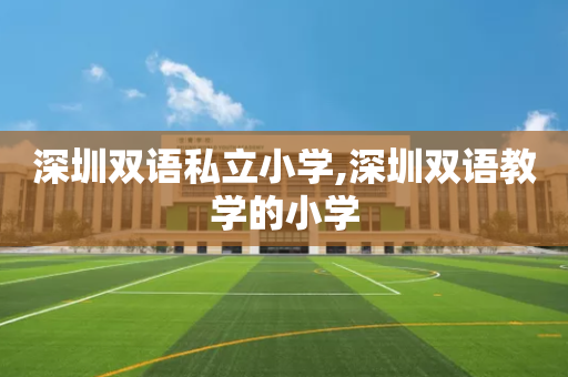 深圳双语私立小学,深圳双语教学的小学
