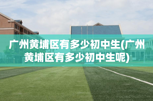 广州黄埔区有多少初中生(广州黄埔区有多少初中生呢)