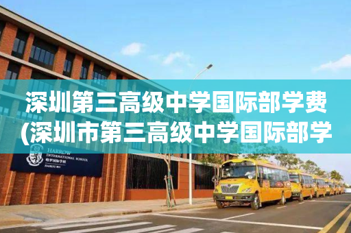 深圳第三高级中学国际部学费(深圳市第三高级中学国际部学费)