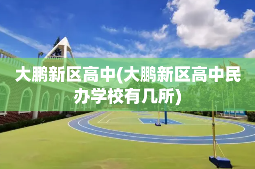 大鹏新区高中(大鹏新区高中民办学校有几所)