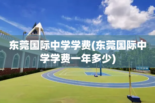 东莞国际中学学费(东莞国际中学学费一年多少)