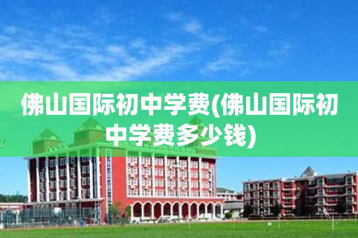 佛山国际初中学费(佛山国际初中学费多少钱)