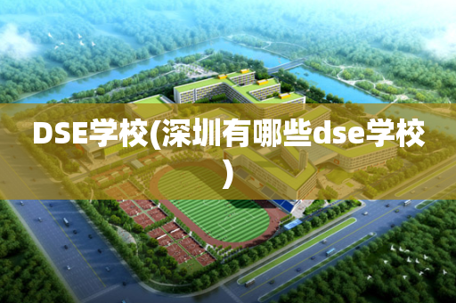DSE学校(深圳有哪些dse学校)