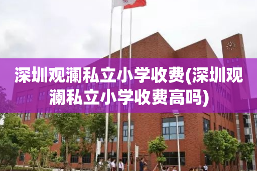 深圳观澜私立小学收费(深圳观澜私立小学收费高吗)