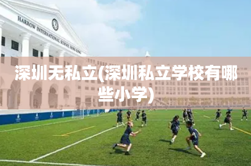 深圳无私立(深圳私立学校有哪些小学)