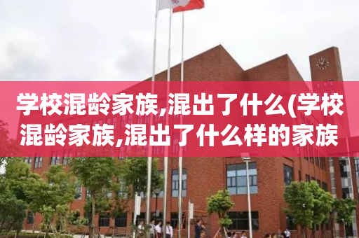 学校混龄家族,混出了什么(学校混龄家族,混出了什么样的家族)