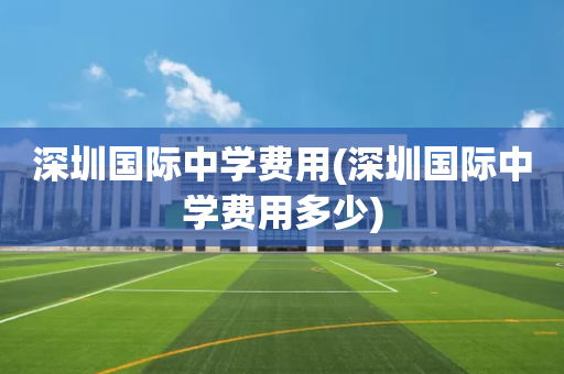 深圳国际中学费用(深圳国际中学费用多少)