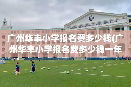 广州华丰小学报名费多少钱(广州华丰小学报名费多少钱一年)