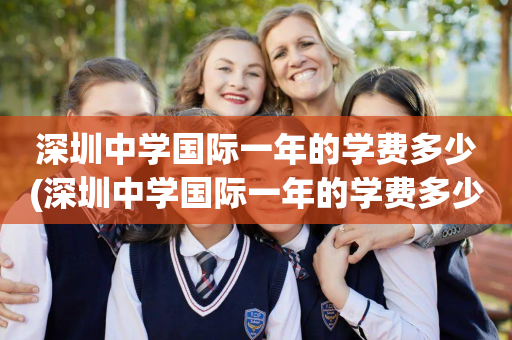 深圳中学国际一年的学费多少(深圳中学国际一年的学费多少啊)