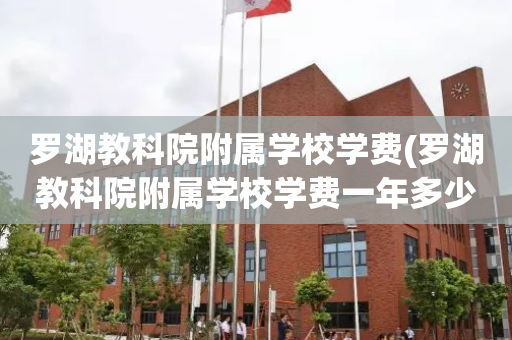 罗湖教科院附属学校学费(罗湖教科院附属学校学费一年多少)