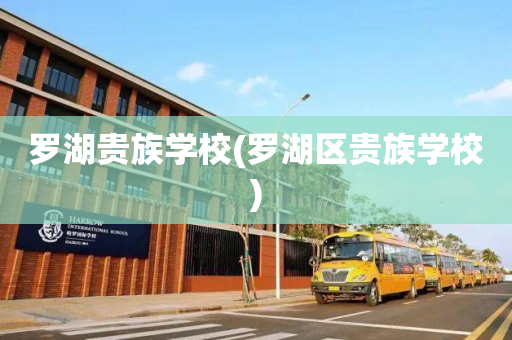 罗湖贵族学校(罗湖区贵族学校)